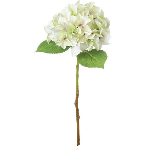 Shabby Single Hydrangea Artificial Flower - Plastic - L30 x W30 x H50 cm - Green