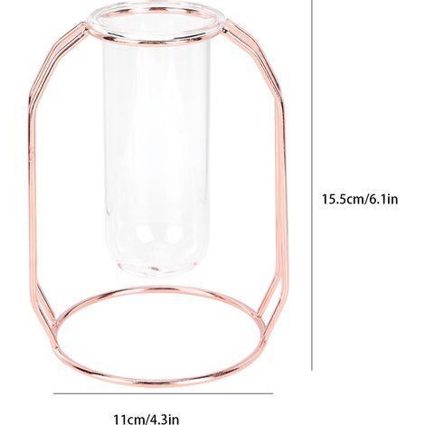 Transparente Vase für Hydrokulturpflanzen – Tischdekoration in Roségold (1/5)