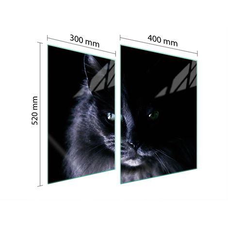 GLASSCHUTZPLATTE FÜR HERD 70x52 CAT (1/5)