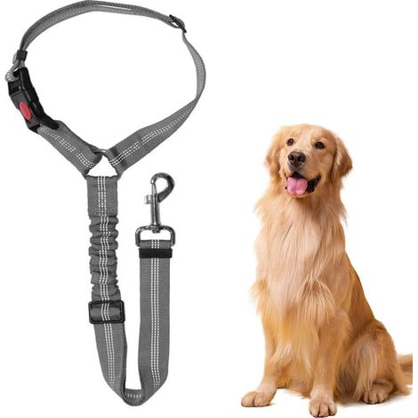 Ceinture Chien Voiture, Universel Harnais Voiture Réglable pour Chien (1/5)