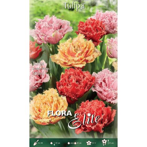 TULIPANO DOUBLE FRINGED MIXED CONFEZIONE DA 20 BULBI AUTUNNALI BULBS BULBES