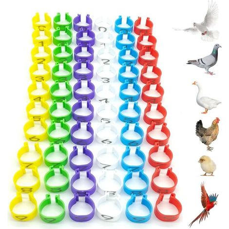 60 pièces Anneaux d'identification pour Poulet Bague d'Identification des Oiseaux Anneaux de jambe en plastique de perroquet Diamètre 16 mm Numéroté Pour le marquage des anneaux de volai (1/5)