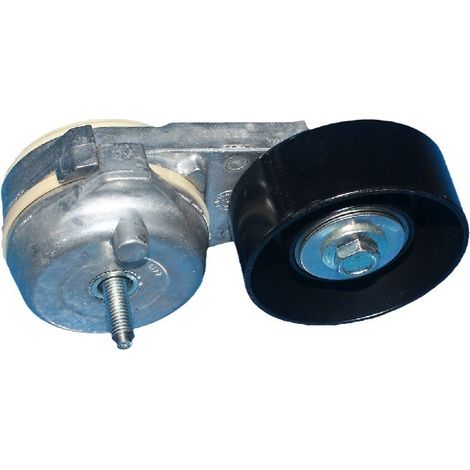 Compatible avec Ford Mondeo 2.5 1F1E6B209AC, tendeur de courroie d'alternateur d'origine, poulie de tendeur de courroie (1/3)