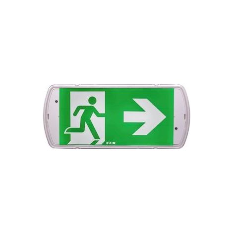 Fireless – Bloc de secours étanche BAES Evacuation SATI LUMINOX – Indice de protection IP66 – Flux lumineux 45 Lm – 2 LEDs blanches (1/2)