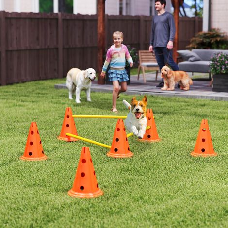 Kit d'agilité pour chiens : équipement d'agilité en 3 pièces pour l'entraînement canin, comprenant un ensemble de 6 cônes, 3 haies et un sac de transport. (1/5)