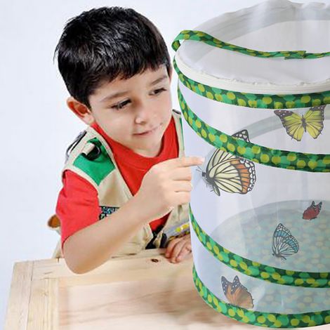 Zusammenklappbarer Zuchtkäfig für Insekten und Schmetterlinge (1/5)