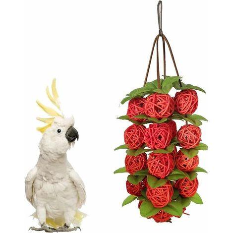 Balle en rotin pour oiseaux, jouet pour animaux de compagnie, perroquet, perruche, jouet à mâcher, accessoires pour oiseaux à faire soi-même, jouet pour perroquet, ara, gris, accessoires pour cage (ro (1/5)