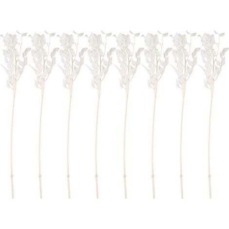 Fleurs de rusca séchées de 45 cm, conservation permanente, décoration florale à faire soi-même, bouquet séché pour mariage et décoration intérieure (1/5)