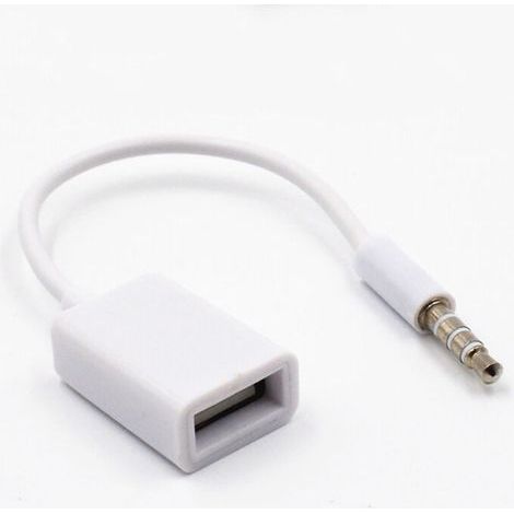 BUNTHAUS Jack 3,5 mm - 4 Pôles Mâle vers USB Femelle - AUX Câble Adaptateur Convertisseur De Câble Audio pour Appareils avec Prise Audio AUX