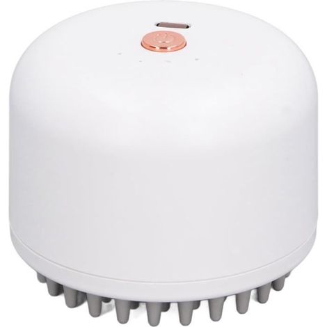 Brosse de Massage pour Chiens, Brosse de Massage pour Chats, électrique Relaxante, Favorise la Circulation Sanguine, Portable (1/4)