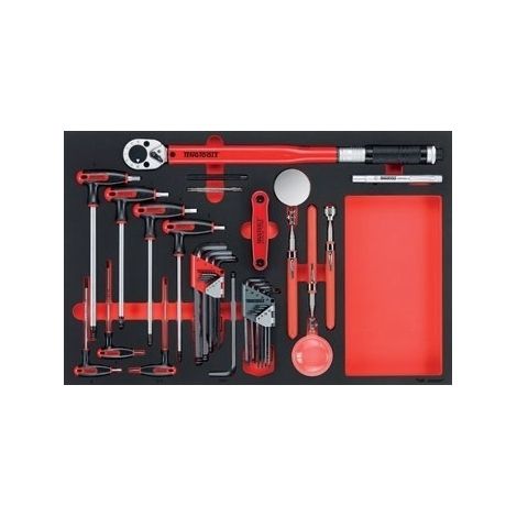 Juego de 17 piezas con llaves hexagonales e inspeccion y llave dinamométrica TENGTOOLS TTEX17