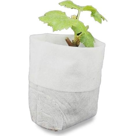 500 Sachets Non Tissés Biodégradables pour Semis et Culture de Tomates, Fleurs et Plantes – Blanc – 8 × 10 cm (1/5)