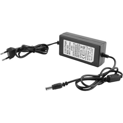Chargeur de batterie lithium-ion Lifepo4 fer-phosphate 14,6 V 3 A, prise UE