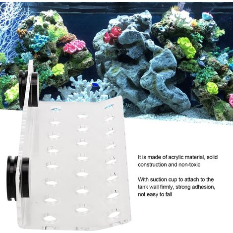 Support de Branche Corail SPS Courbé avec Aimant Fort pour Aquarium 23 Emplacements-AUTRES (1/5)