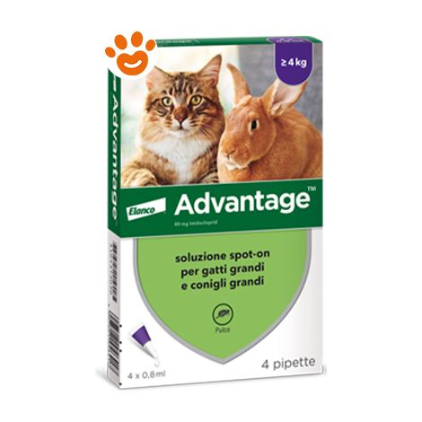 Elanco Advantage 80 mg Gatto oltre 4 kg - Elanco Advantage 80 mg Gatto oltre 4 kg - Confezione Da 4 Pipette