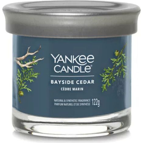 Candela Yankee Candle Bayside al profumo di cedro, 122 g (1/5)