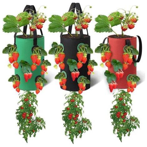 Lot de 3 sacs de plantation suspendus, à 12 trous, respirants, pour fraises, herbes aromatiques, fleurs et légumes, 20 x 35 cm (rouge, noir et vert) (1/5)