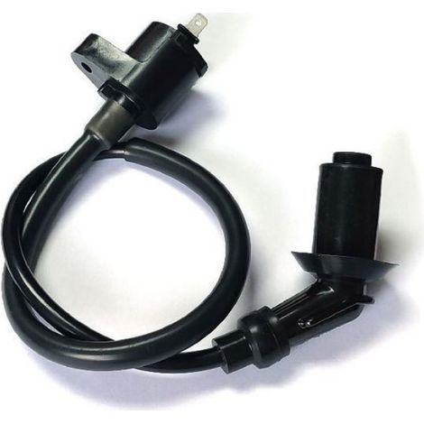 Bobine d'allumage pour motos tout-terrain GY6 125 150cc, bobine d'allumage haute tension à condensateur. (1/4)