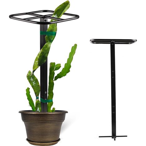 Treillis grimpant pour fruit du dragon, pergola métallique réglable pour plantes, adapté au jardinage vertical et aux plantes grimpantes. (1/5)