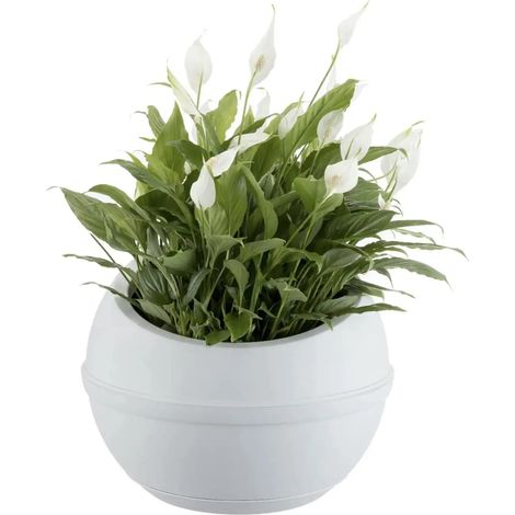 Vaso Sfera con Sottovaso Ghiaccio 23lt Fioriera per Interni ed Esterno D40,5x32h (1/4)