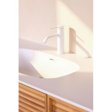 Mitigeur de lavabo en inox ELLIOT modèle bas cartouche céramique Ø25 BASS blanc mat (1/5)