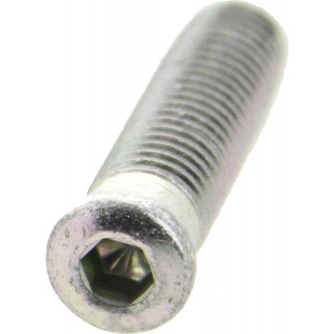 Vis d ancrage longueur 50 mm (lot de 4) FAPIM 6603A0054Z5 (1/2)