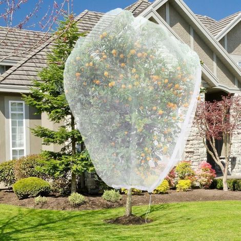 Lot de 2 filets protection arbres fruitiers 2,4x2,4m avec fermeture éclair, filet anti-oiseaux et insectes (1/5)