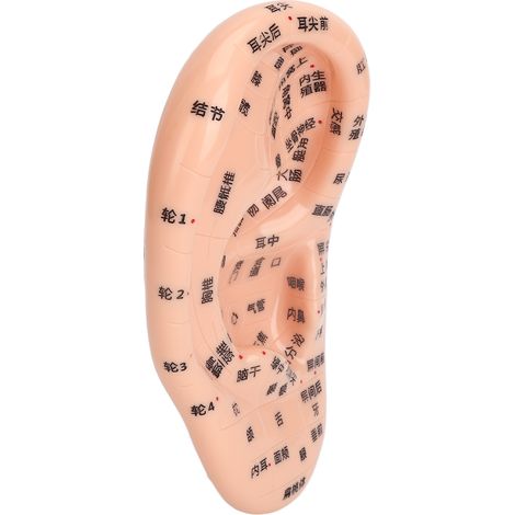 Kit d'acupuncture auriculaire (600 pièces) : patchs de massage auriculaire, pince à épiler, stylo sonde et guide.