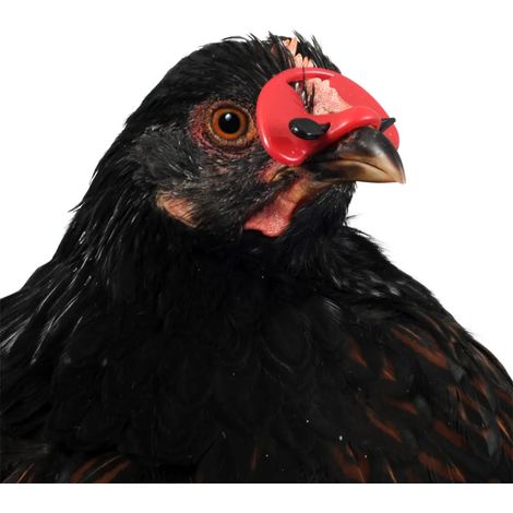 100 lunettes anti-piquage petit modèle (1/5)