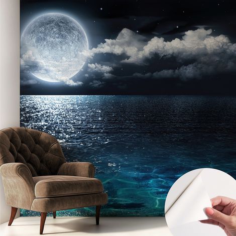 Fotomurale adesivo stickers - per camera da letto - per corridoio - decorazione casa moderna Mare notturno 250x250 cm (1/5)