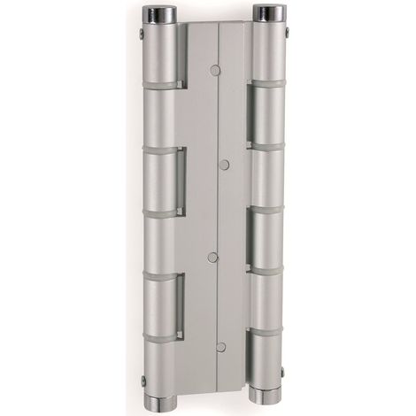 Bisagra Doble Acción Aluminio Plata Unidad (1/4)