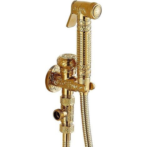 Bidet Spray Toilette - Douchette à Main en Laiton, Kit Douchette WC Mural avec Mitigeur Eau Froide, Doré (1/5)