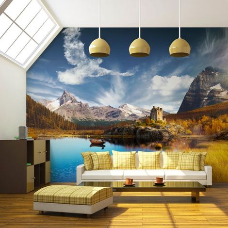 Papier peint nuage d'oiseau - 300 x 230 cm (1/4)