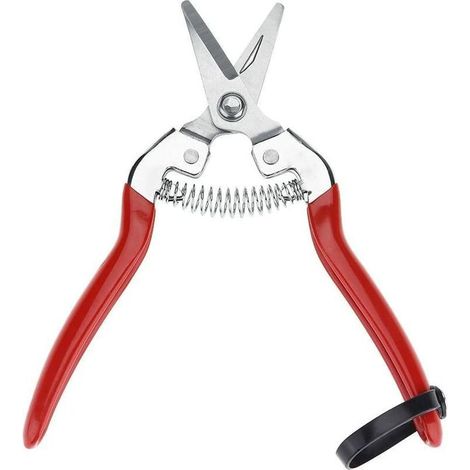 Tondeuse à gazon professionnelle en acier inoxydable, tondeuse manuelle pour le jardinage, coupe avec lame droite/courbe, idéale pour les fleurs et les plantes, chromée (1/5)