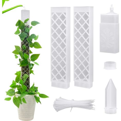 Tuteur En Mousse Pour Treillis De Monstera – Support De 66,5 Cm Avec Système D'arrosage Automatique Et Base À Brancher – 2 Tuteurs Transparents + Système D'arrosage + Plateau De Propagation + 50 Attac (1/5)