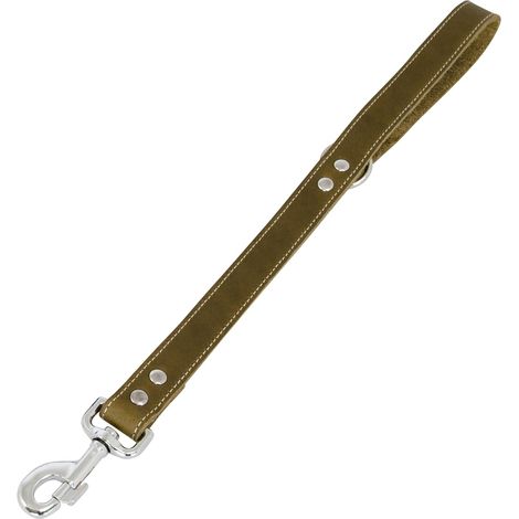 Laisse pour Chien Cuir Gras 50 cm x 25 mm Vert