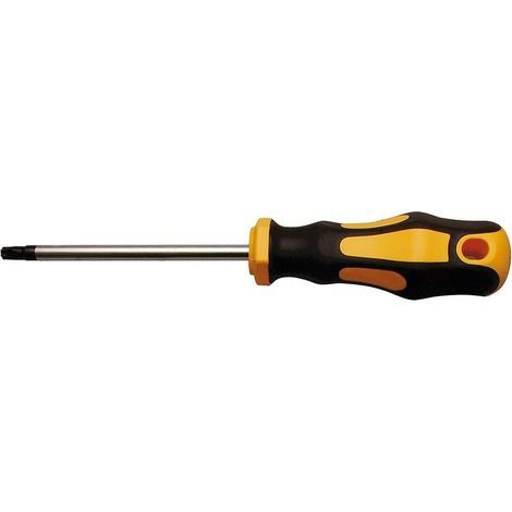 Tournevis Profil T Torx T27 - Lame 100 mm - Acier, Précision et Durabilité - D-Work (1/5)