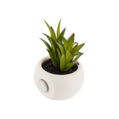 Planta Decorativa Atmosphera Imán Verde PVC