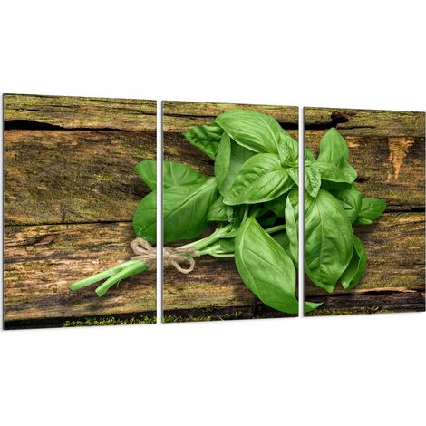 Piastra protettiva in vetro per stufa 3x30x52 (1/5)