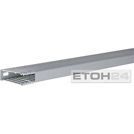 Tehalit Verdrahtungskanal BA6 60015B gr 2 Stk