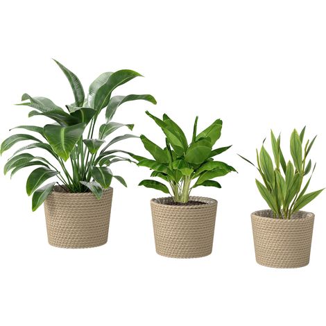 Seagrass Planters Set of 3 Indoor 25 x 25 x 20 cm (1/5)