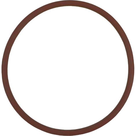 O-Ring-Dichtung 32,1 x 1,6 O-Ring FPM Fluor (1/2)