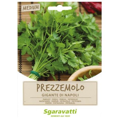 SEMI PER ORTAGGI E VEGETALI prezzemolo gigante Napoli 10 PZ