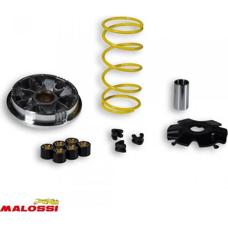 Variateur Malossi pour Scooter Malaguti 100 F12 5111327 /