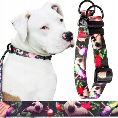 Collier de sécurité à double verrouillage pour chien de taille moyenne TERRIER M 20 mm Ukory SKULL (1/5)