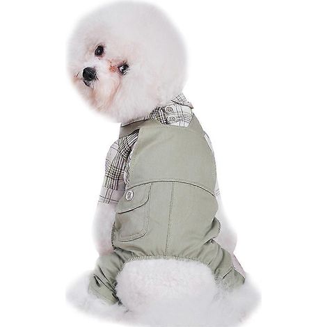 Tirantes para perros, ropa para cuatro patas, verano para mascotas (1/5)