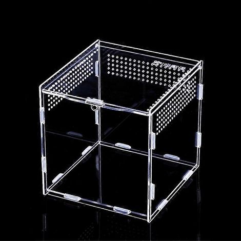 Boîte d'alimentation pour insectes en acrylique transparent pour l'élevage de petits reptiles 4 Si-L-