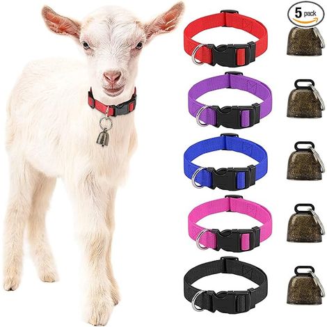 Colliers pour Chèvres avec Clochette, Collier Nylon Chèvre couleurs de distinction, 35-52 cm réglable, clochette pour repérage, petits animaux de ferme, chèvres, moutons, vaches (1/5)