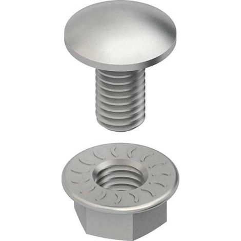 Niedax Flachrundschrauben FLM 6 X 12 F FLM6X12F (1/2)