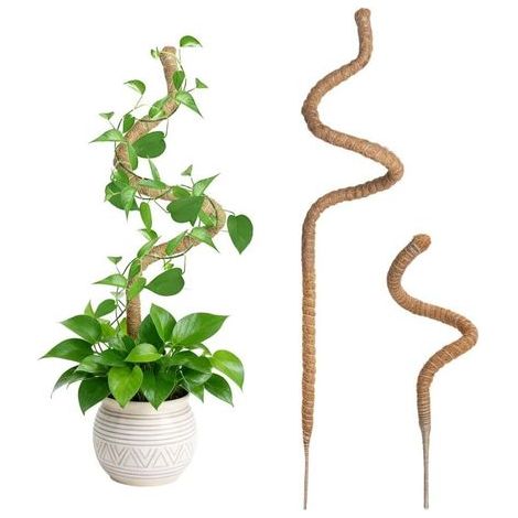 2 Pièces Tuteur Plante Grimpante en Coco sur Piquet 60cm et 120cm, Support de Plante Tuteur de Coco Pliable Poteau de Croissance de Plantes Grimpantes pour Jardin et Plantes Monstera (1/5)
